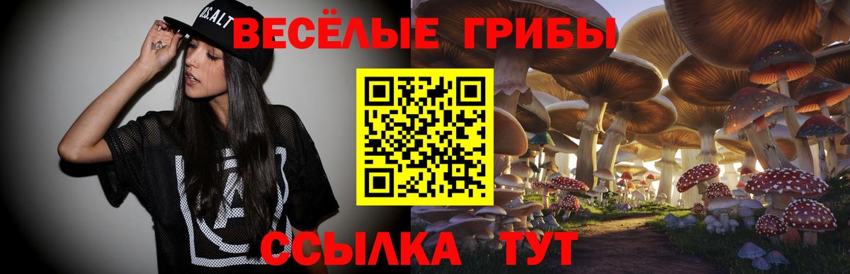 Галлюциногенные грибы Psilocybe  Галлюциногенные грибы Cubensis  Вход с VPN  Березники 