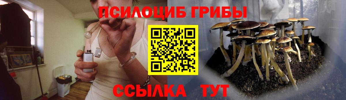 Псилоцибиновые грибы мухоморы Березники